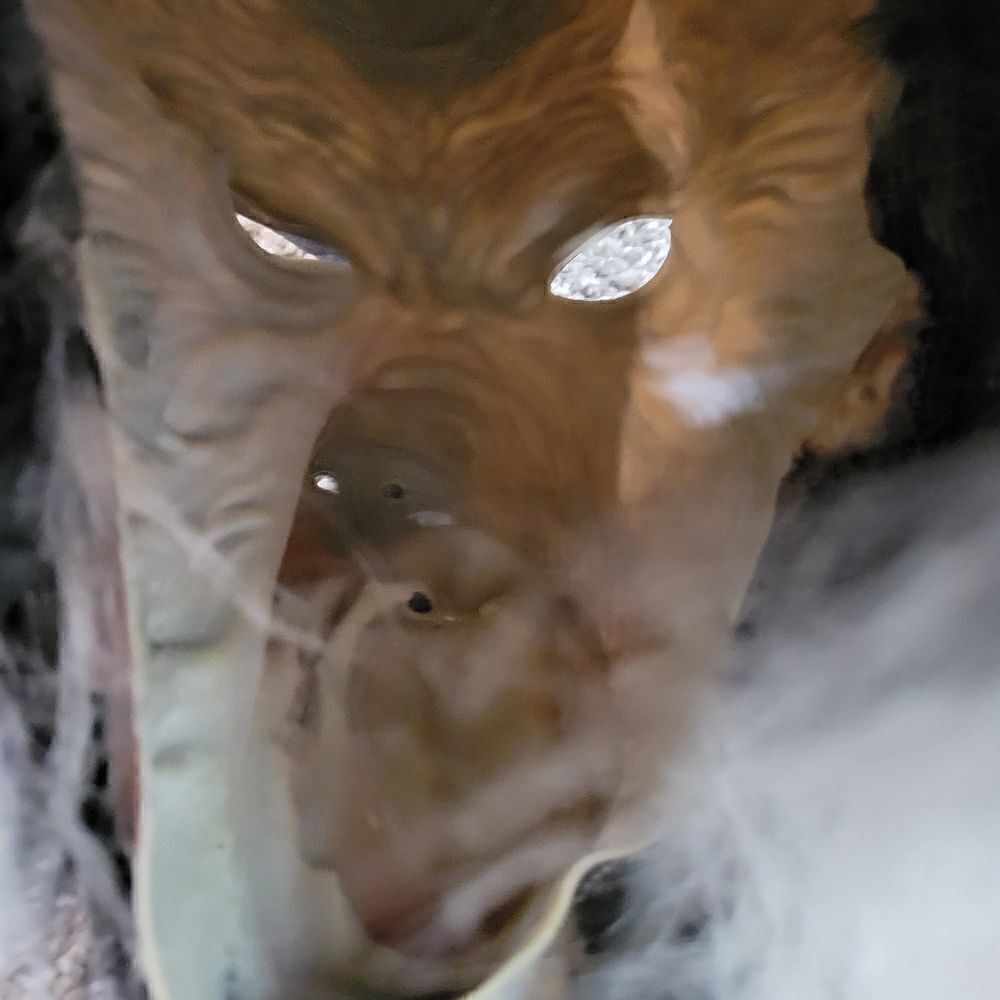 EC WOLF MASK OSFM - Picture 3 of 4